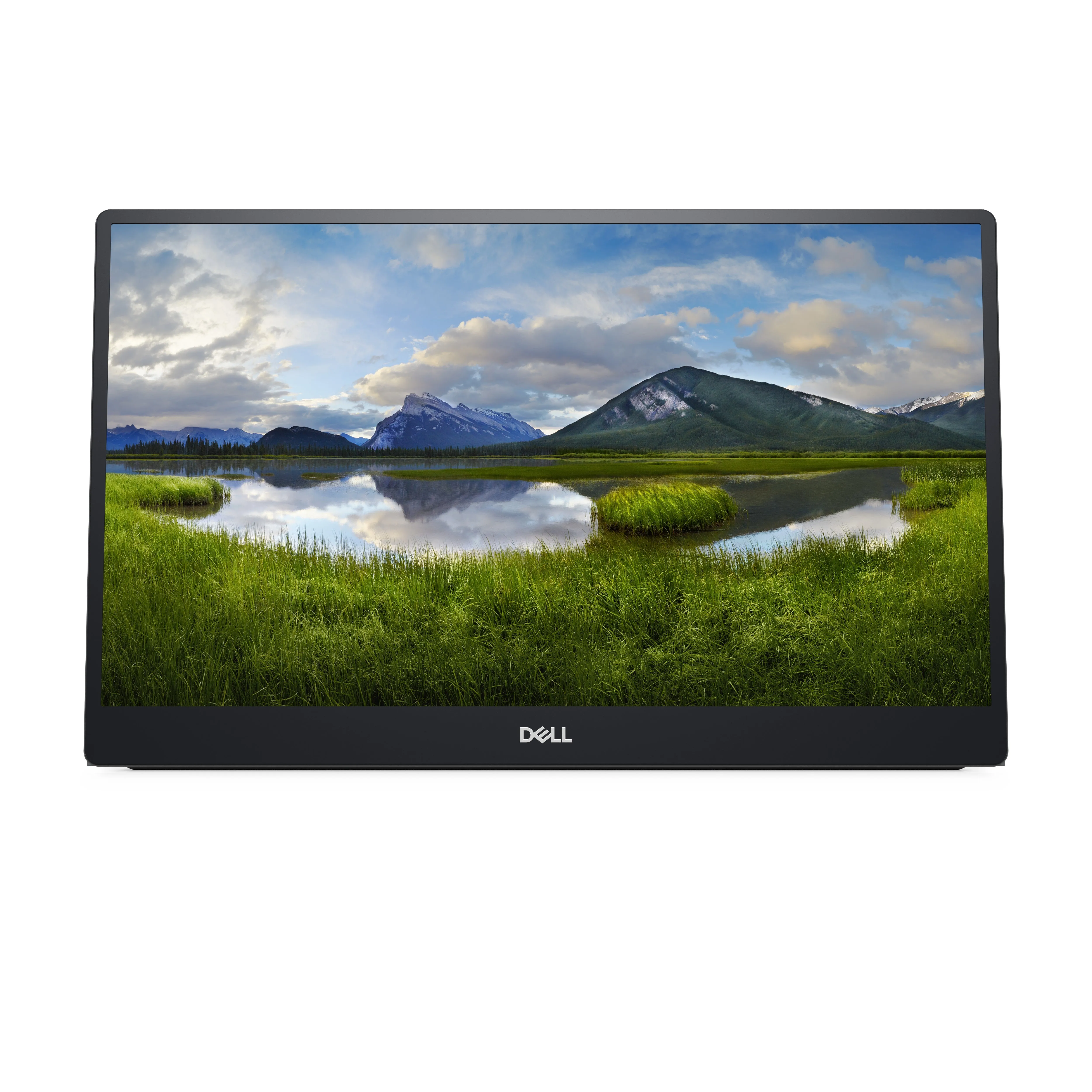 Dell Portable Led-Monitor P1424h - 35.56 Cm (14") - 1920 X 1080 Full Hd